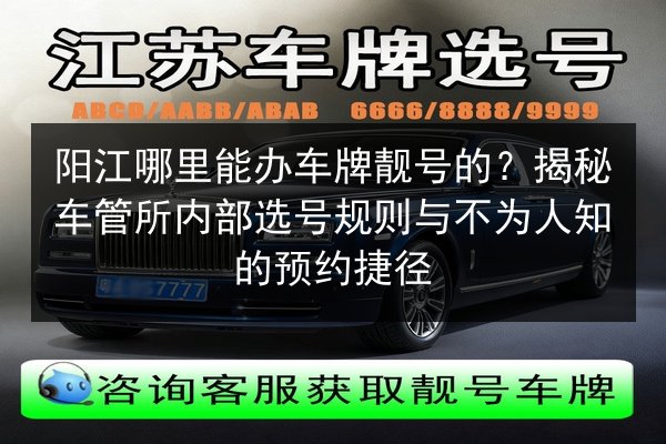 阳江哪里能办车牌靓号的?揭秘车管所内部选号规则与不为人知的预约捷径 第2张 阳江哪里能办车牌靓号的?揭秘车管所内部选号规则与不为人知的预约捷径 第2张