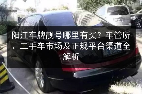 阳江车牌靓号哪里有买?车管所、二手车市场及正规平台渠道全解析 第3张 阳江车牌靓号哪里有买?车管所、二手车市场及正规平台渠道全解析 第3张