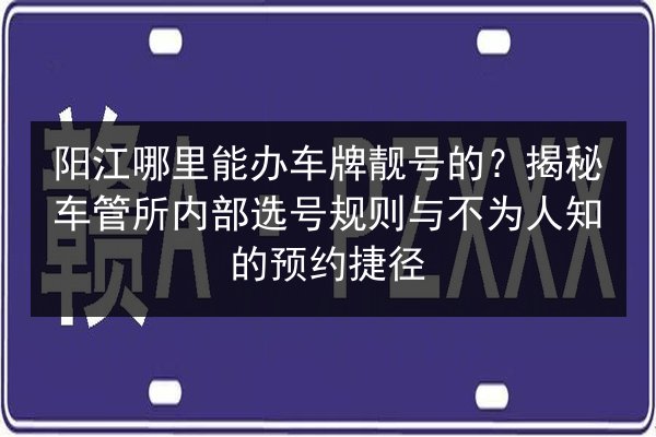 阳江哪里能办车牌靓号的?揭秘车管所内部选号规则与不为人知的预约捷径 第3张 阳江哪里能办车牌靓号的?揭秘车管所内部选号规则与不为人知的预约捷径 第3张