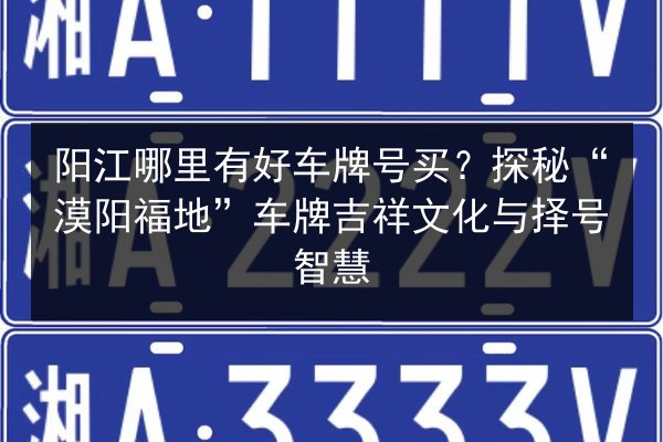 阳江哪里有好车牌号买?探秘“漠阳福地”车牌吉祥文化与择号智慧 第2张 阳江哪里有好车牌号买?探秘“漠阳福地”车牌吉祥文化与择号智慧 第2张