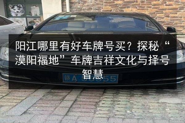 阳江哪里有好车牌号买?探秘“漠阳福地”车牌吉祥文化与择号智慧 第3张 阳江哪里有好车牌号买?探秘“漠阳福地”车牌吉祥文化与择号智慧 第3张