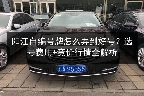 阳江自编号牌怎么弄到好号?选号费用+竞价行情全解析 第2张 阳江自编号牌怎么弄到好号?选号费用+竞价行情全解析 第2张