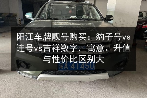 阳江车牌靓号购买:豹子号vs连号vs吉祥数字,寓意、升值与性价比区别大 第2张 阳江车牌靓号购买:豹子号vs连号vs吉祥数字,寓意、升值与性价比区别大 第2张