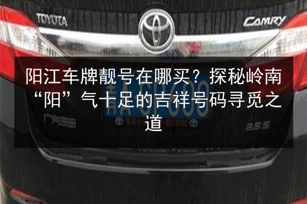 阳江车牌靓号在哪买?探秘岭南“阳”气十足的吉祥号码寻觅之道 第1张 阳江车牌靓号在哪买?探秘岭南“阳”气十足的吉祥号码寻觅之道 第1张