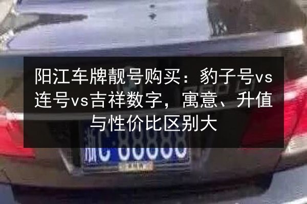 阳江车牌靓号购买:豹子号vs连号vs吉祥数字,寓意、升值与性价比区别大 第3张 阳江车牌靓号购买:豹子号vs连号vs吉祥数字,寓意、升值与性价比区别大 第3张