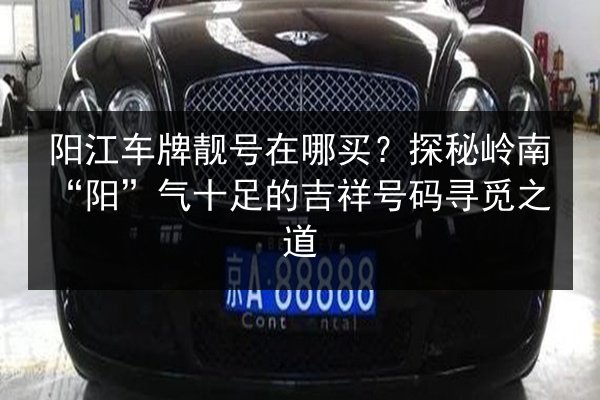 阳江车牌靓号在哪买?探秘岭南“阳”气十足的吉祥号码寻觅之道 第2张 阳江车牌靓号在哪买?探秘岭南“阳”气十足的吉祥号码寻觅之道 第2张