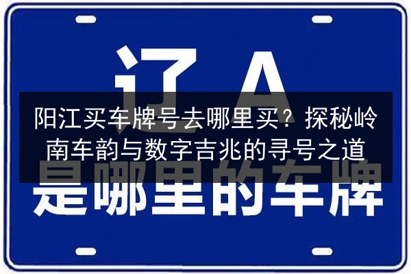 阳江买车牌号去哪里买?探秘岭南车韵与数字吉兆的寻号之道 第2张 阳江买车牌号去哪里买?探秘岭南车韵与数字吉兆的寻号之道 第2张