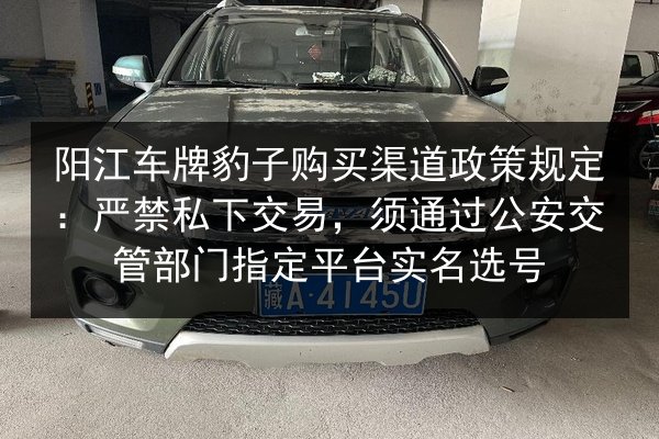 阳江车牌豹子购买渠道政策规定：严禁私下交易，须通过公安交管部门指定平台实名选号