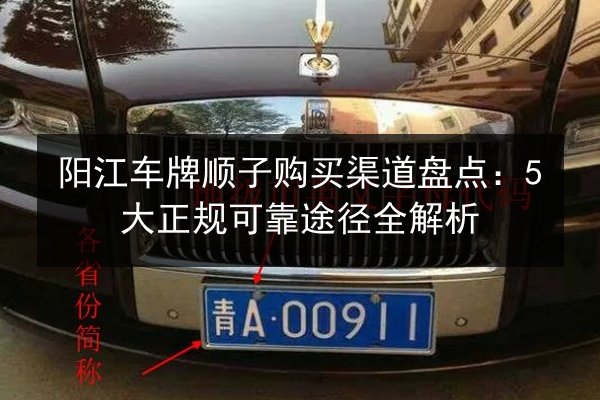 阳江车牌顺子购买渠道盘点：5大正规可靠途径全解析 第2张