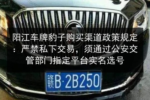 阳江车牌豹子购买渠道政策规定:严禁私下交易,须通过公安交管部门指定平台实名选号 第3张 阳江车牌豹子购买渠道政策规定:严禁私下交易,须通过公安交管部门指定平台实名选号 第3张