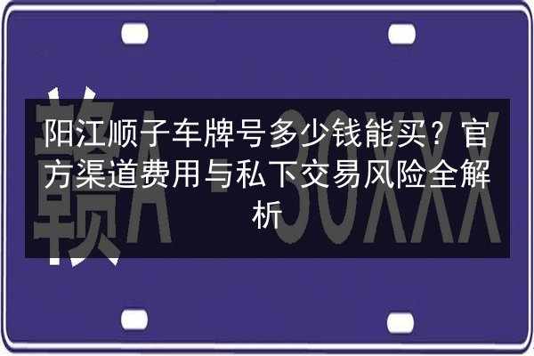 阳江顺子车牌号多少钱能买？官方渠道费用与私下交易风险全解析 第2张