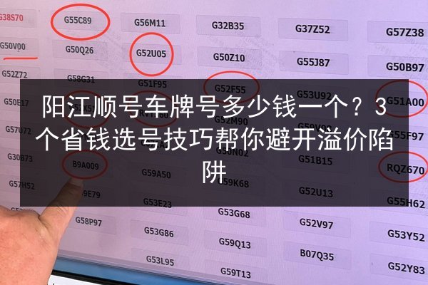 阳江顺号车牌号多少钱一个?3个省钱选号技巧帮你避开溢价陷阱 第3张 阳江顺号车牌号多少钱一个?3个省钱选号技巧帮你避开溢价陷阱 第3张
