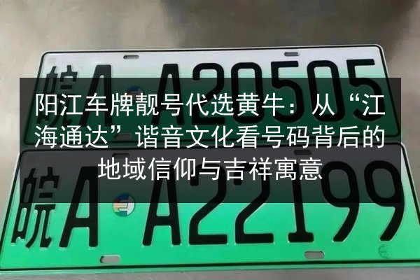 阳江车牌靓号代选黄牛：从“江海通达”谐音文化看号码背后的地域信仰与吉祥寓意