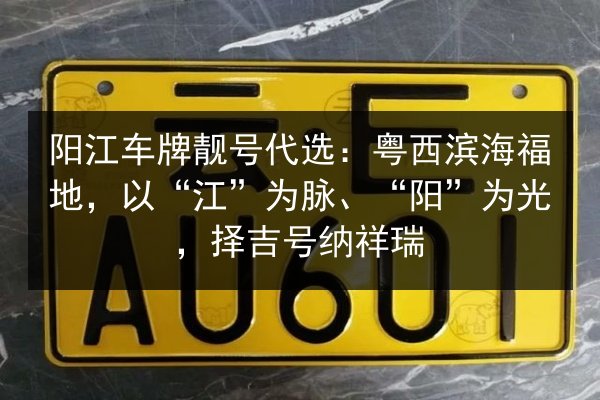 阳江车牌靓号代选：粤西滨海福地，以“江”为脉、“阳”为光，择吉号纳祥瑞 第2张