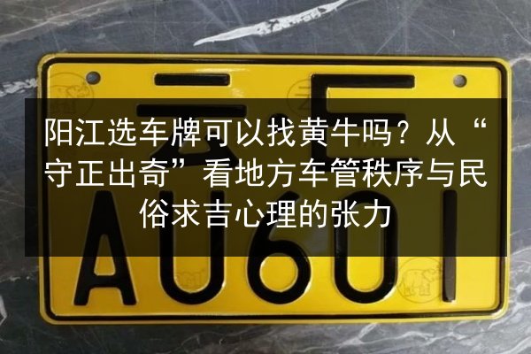 阳江选车牌可以找黄牛吗?从“守正出奇”看地方车管秩序与民俗求吉心理的张力 第2张 阳江选车牌可以找黄牛吗?从“守正出奇”看地方车管秩序与民俗求吉心理的张力 第2张