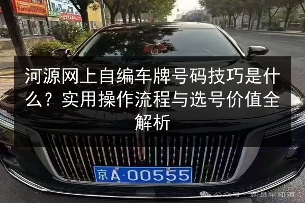河源网上自编车牌号码技巧是什么？实用操作流程与选号价值全解析 第2张