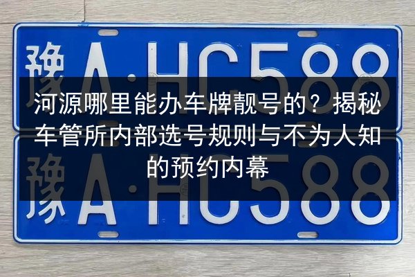 河源哪里能办车牌靓号的？揭秘车管所内部选号规则与不为人知的预约内幕 第2张