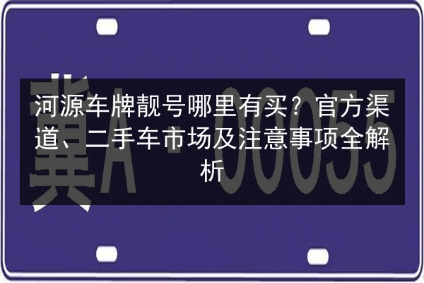 河源车牌靓号哪里有买？官方渠道、二手车市场及注意事项全解析 第3张