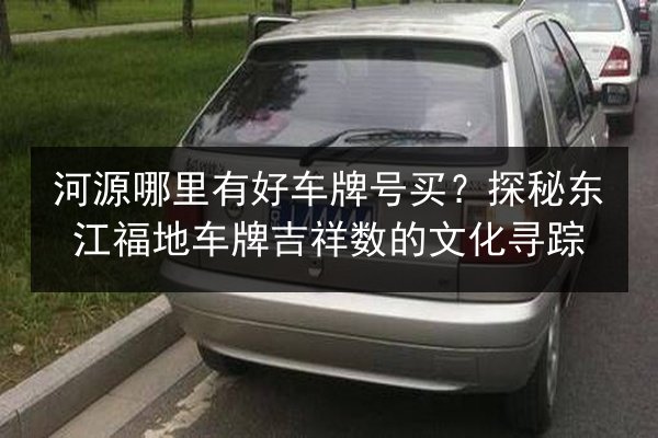 河源哪里有好车牌号买？探秘东江福地车牌吉祥数的文化寻踪 第3张