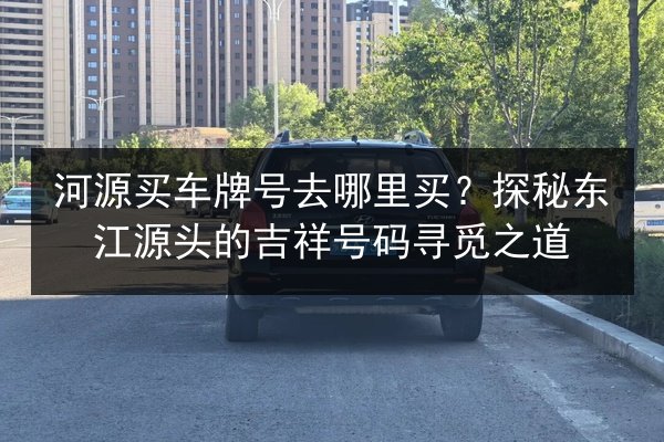 河源买车牌号去哪里买?探秘东江源头的吉祥号码寻觅之道 第2张 河源买车牌号去哪里买?探秘东江源头的吉祥号码寻觅之道 第2张