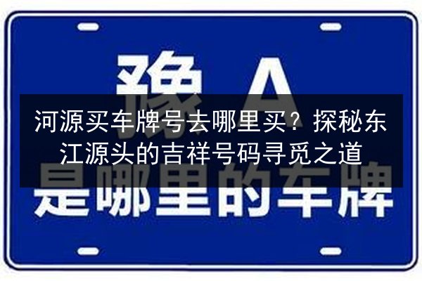河源买车牌号去哪里买?探秘东江源头的吉祥号码寻觅之道 第3张 河源买车牌号去哪里买?探秘东江源头的吉祥号码寻觅之道 第3张