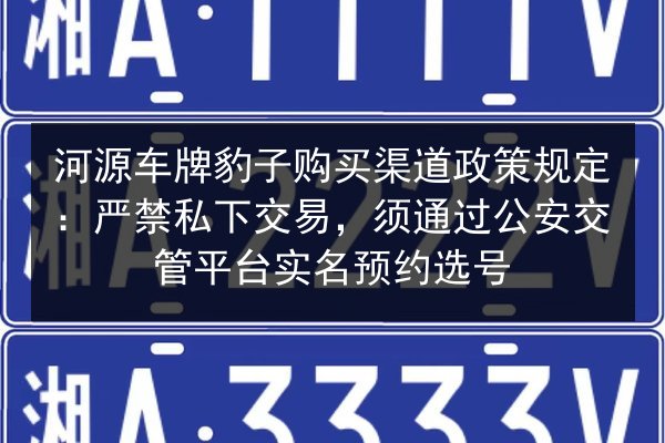 河源车牌豹子购买渠道政策规定：严禁私下交易，须通过公安交管平台实名预约选号 第2张