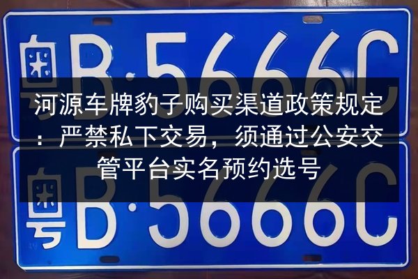 河源车牌豹子购买渠道政策规定：严禁私下交易，须通过公安交管平台实名预约选号 第3张