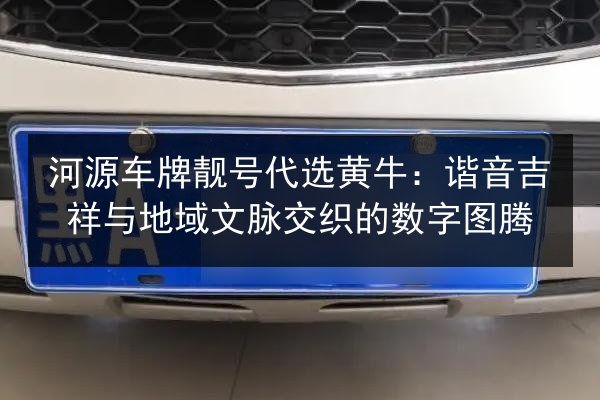 河源车牌靓号代选黄牛:谐音吉祥与地域文脉交织的数字图腾 第2张 河源车牌靓号代选黄牛:谐音吉祥与地域文脉交织的数字图腾 第2张