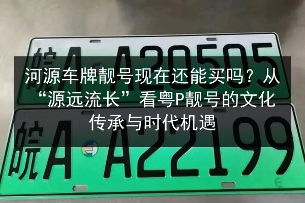 河源车牌靓号现在还能买吗？从“源远流长”看粤P靓号的文化传承与时代机遇 第2张