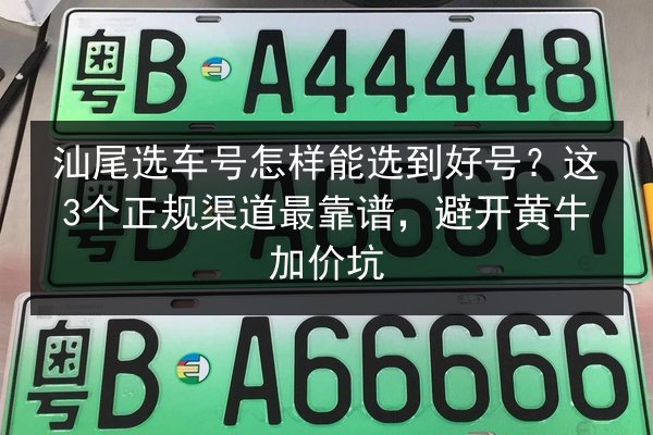 汕尾选车号怎样能选到好号?这3个正规渠道最靠谱,避开黄牛加价坑 第2张 汕尾选车号怎样能选到好号?这3个正规渠道最靠谱,避开黄牛加价坑 第2张