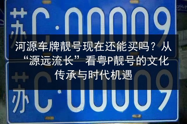 河源车牌靓号现在还能买吗？从“源远流长”看粤P靓号的文化传承与时代机遇 第3张