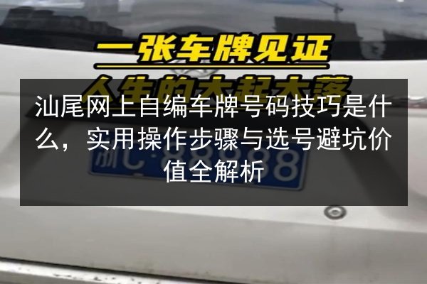 汕尾网上自编车牌号码技巧是什么，实用操作步骤与选号避坑价值全解析 第3张