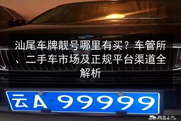 汕尾车牌靓号哪里有买?车管所、二手车市场及正规平台渠道全解析 第2张 汕尾车牌靓号哪里有买?车管所、二手车市场及正规平台渠道全解析 第2张