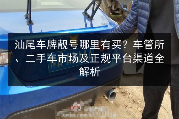 汕尾车牌靓号哪里有买?车管所、二手车市场及正规平台渠道全解析 第3张 汕尾车牌靓号哪里有买?车管所、二手车市场及正规平台渠道全解析 第3张