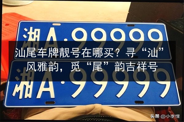 汕尾车牌靓号在哪买?寻“汕”风雅韵,觅“尾”韵吉祥号 第1张 汕尾车牌靓号在哪买?寻“汕”风雅韵,觅“尾”韵吉祥号 第1张