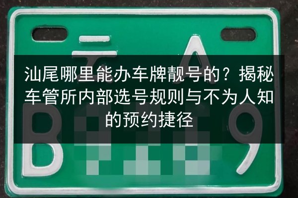 汕尾哪里能办车牌靓号的?揭秘车管所内部选号规则与不为人知的预约捷径 第3张 汕尾哪里能办车牌靓号的?揭秘车管所内部选号规则与不为人知的预约捷径 第3张