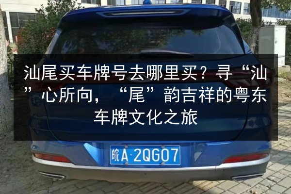 汕尾买车牌号去哪里买？寻“汕”心所向，“尾”韵吉祥的粤东车牌文化之旅 第2张