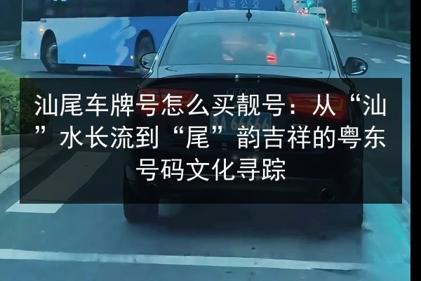 汕尾车牌号怎么买靓号：从“汕”水长流到“尾”韵吉祥的粤东号码文化寻踪 第2张