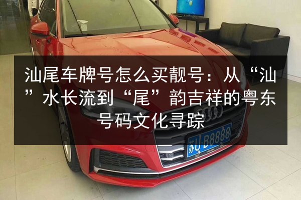 汕尾车牌号怎么买靓号：从“汕”水长流到“尾”韵吉祥的粤东号码文化寻踪 第3张