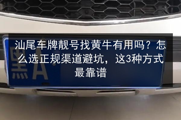 汕尾车牌靓号找黄牛有用吗？怎么选正规渠道避坑，这3种方式最靠谱 第1张