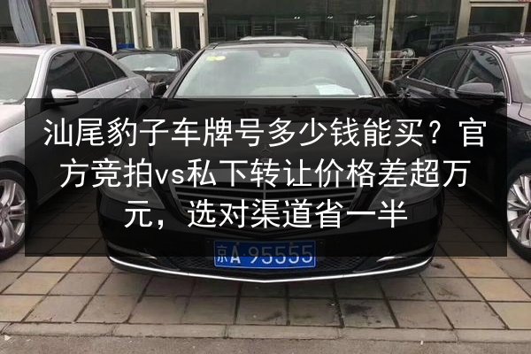 汕尾豹子车牌号多少钱能买?官方竞拍vs私下转让价格差超万元,选对渠道省一半 第2张 汕尾豹子车牌号多少钱能买?官方竞拍vs私下转让价格差超万元,选对渠道省一半 第2张