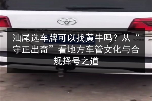 汕尾选车牌可以找黄牛吗?从“守正出奇”看地方车管文化与合规择号之道 第1张 汕尾选车牌可以找黄牛吗?从“守正出奇”看地方车管文化与合规择号之道 第1张