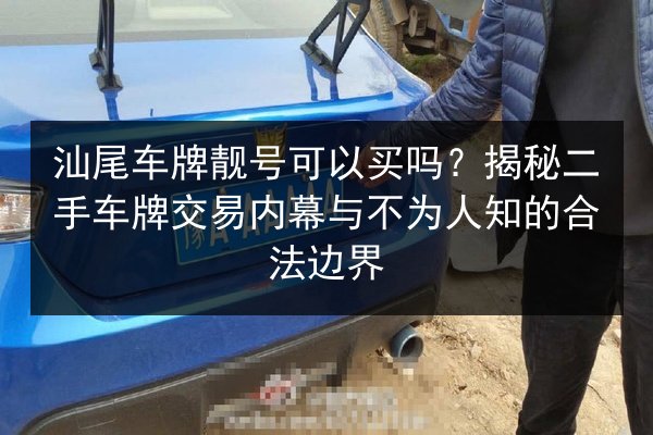 汕尾车牌靓号可以买吗？揭秘二手车牌交易内幕与不为人知的合法边界 第3张