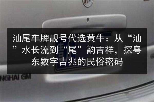 汕尾车牌靓号代选黄牛:从“汕”水长流到“尾”韵吉祥,探粤东数字吉兆的民俗密码 第3张 汕尾车牌靓号代选黄牛:从“汕”水长流到“尾”韵吉祥,探粤东数字吉兆的民俗密码 第3张