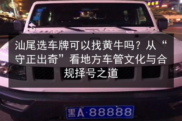 汕尾选车牌可以找黄牛吗?从“守正出奇”看地方车管文化与合规择号之道 第3张 汕尾选车牌可以找黄牛吗?从“守正出奇”看地方车管文化与合规择号之道 第3张