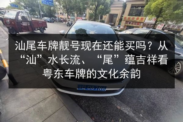 汕尾车牌靓号现在还能买吗?从“汕”水长流、“尾”蕴吉祥看粤东车牌的文化余韵 第3张 汕尾车牌靓号现在还能买吗?从“汕”水长流、“尾”蕴吉祥看粤东车牌的文化余韵 第3张