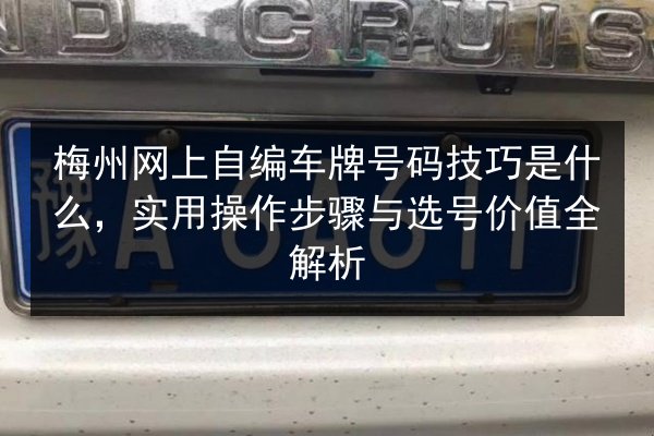 梅州网上自编车牌号码技巧是什么,实用操作步骤与选号价值全解析 第2张 梅州网上自编车牌号码技巧是什么,实用操作步骤与选号价值全解析 第2张