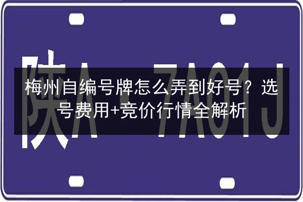 梅州自编号牌怎么弄到好号?选号费用+竞价行情全解析 第1张 梅州自编号牌怎么弄到好号?选号费用+竞价行情全解析 第1张