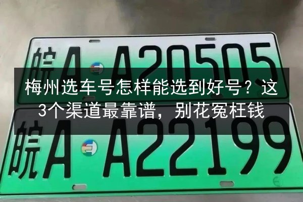 梅州选车号怎样能选到好号？这3个渠道最靠谱，别花冤枉钱
