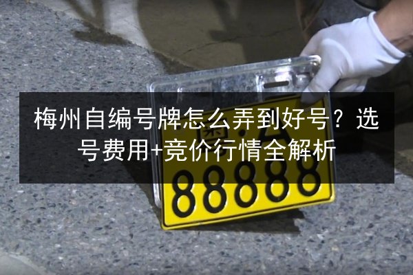 梅州自编号牌怎么弄到好号?选号费用+竞价行情全解析 第2张 梅州自编号牌怎么弄到好号?选号费用+竞价行情全解析 第2张